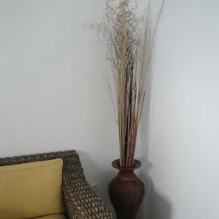 Bemposta View Holiday home Machico (Madeira)